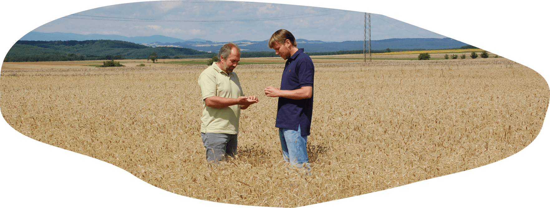 Rosnak Feld